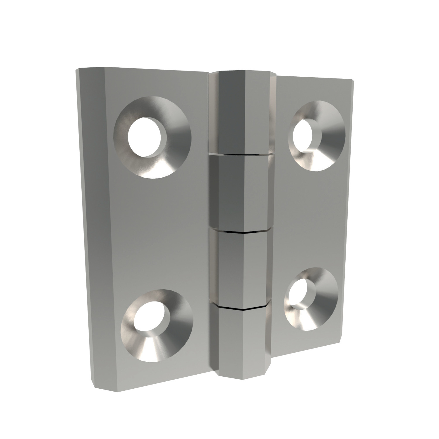 S0523.AW0050 Surface Mount - Leaf Hinges Surface Mount - Leaf Hinges screw mount - stainless steel 50X50