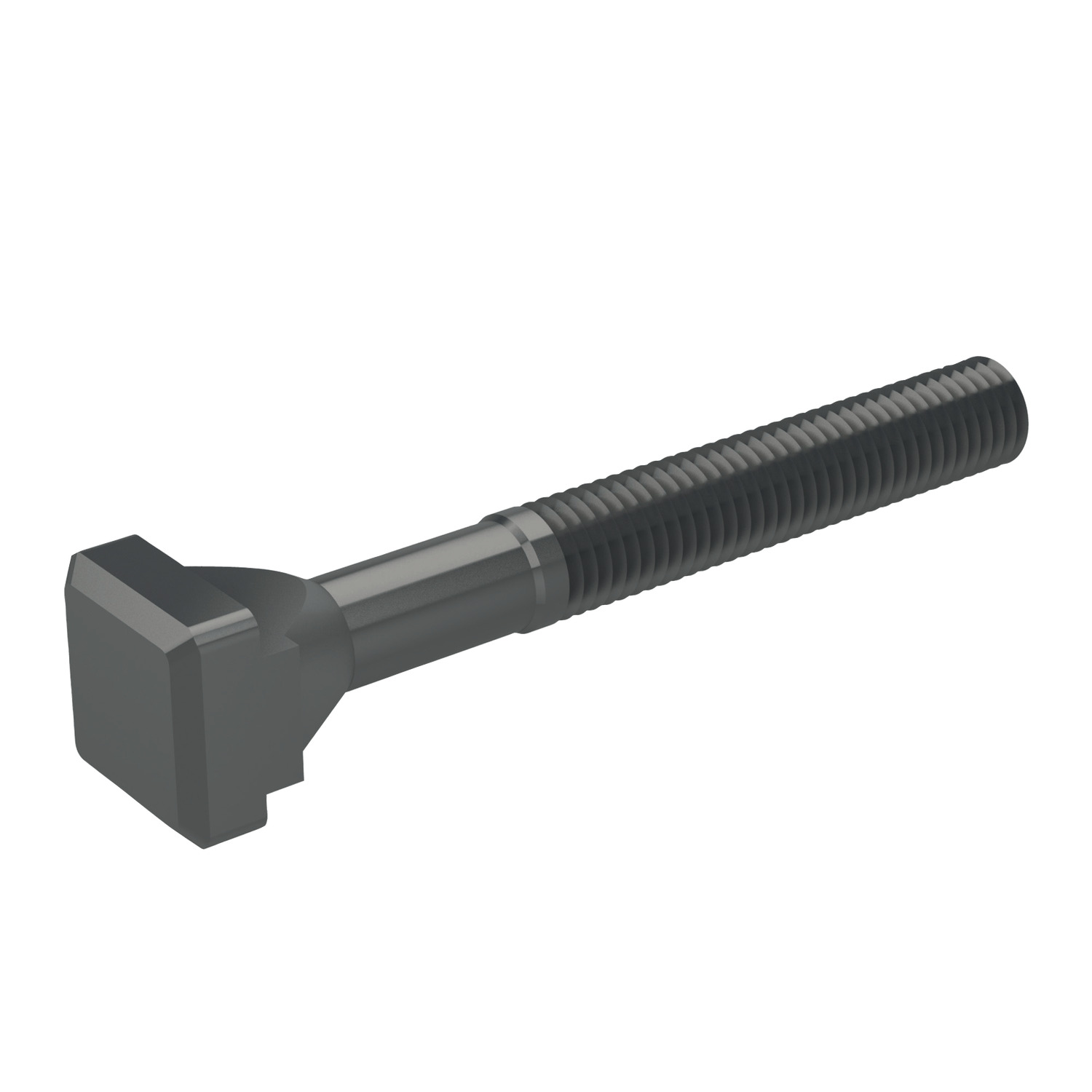 T-Slot Bolts T-Slot Bolts in strength class 8,8/10,9 made from forged steel with rolled thread. Suitable fixture nuts & washers 24300, 24400 and 25000.